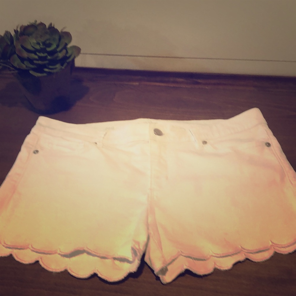 Loft Shorts